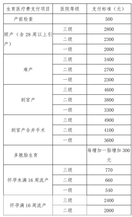 哈市醫保最新待遇政策彙總——職工待遇篇,職工生育待