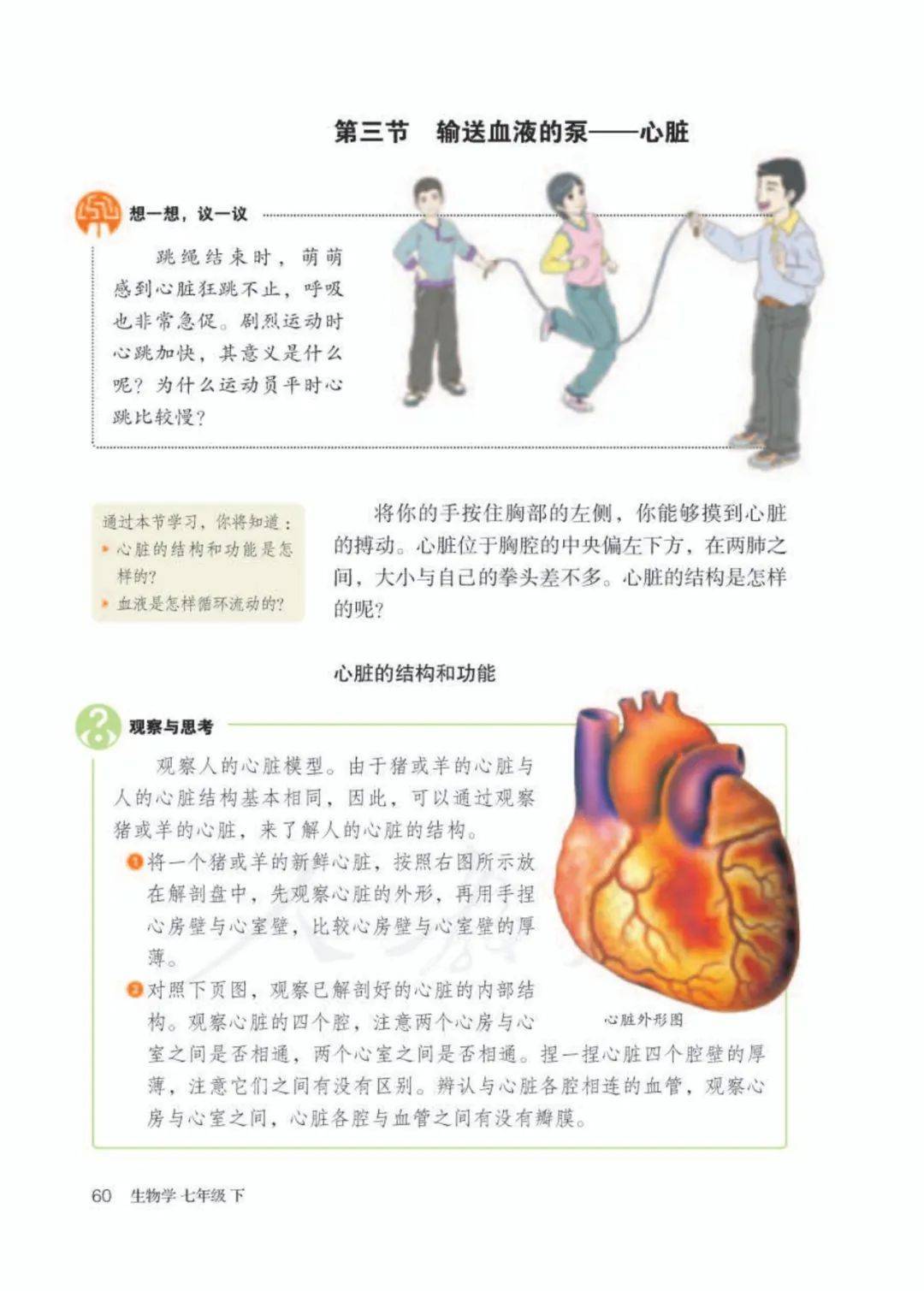 人教版七年级下册生物电子课本