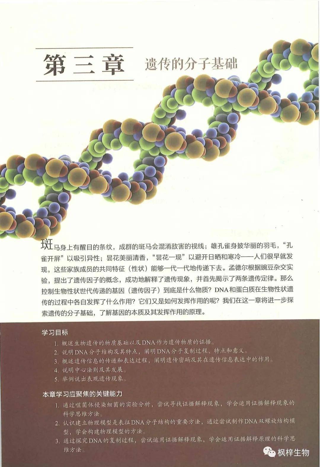 国外高中生物书
  第2张 
国外高中生物书
  第2张
