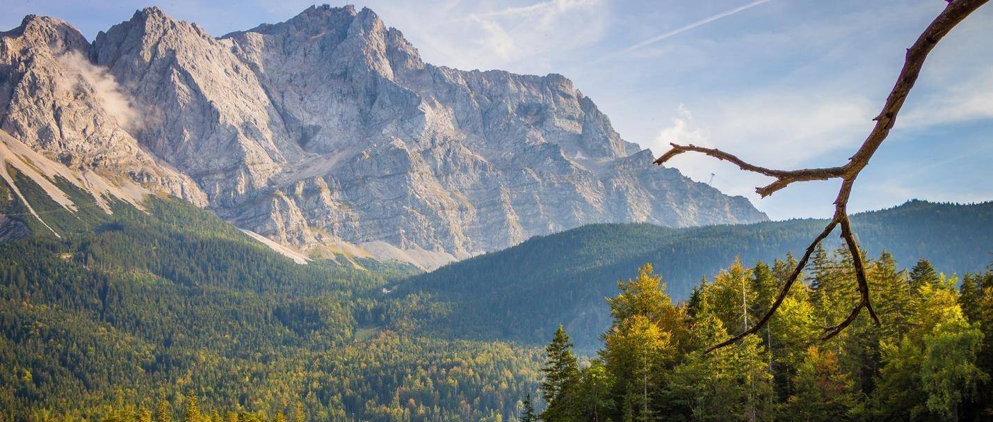 他们是心怀崇高,生活艰苦,百折不挠的星座,他们总是努力去成就伟大的