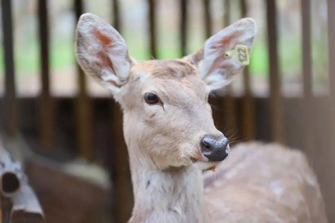 叠瀑布金鸡谷瀑布登幽步道依剑峰夏日炎炎一起感受重渡沟21℃的夏天吧