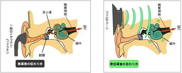 藍牙耳機和骨傳導耳機哪個好,一文帶你瞭解真正骨傳導