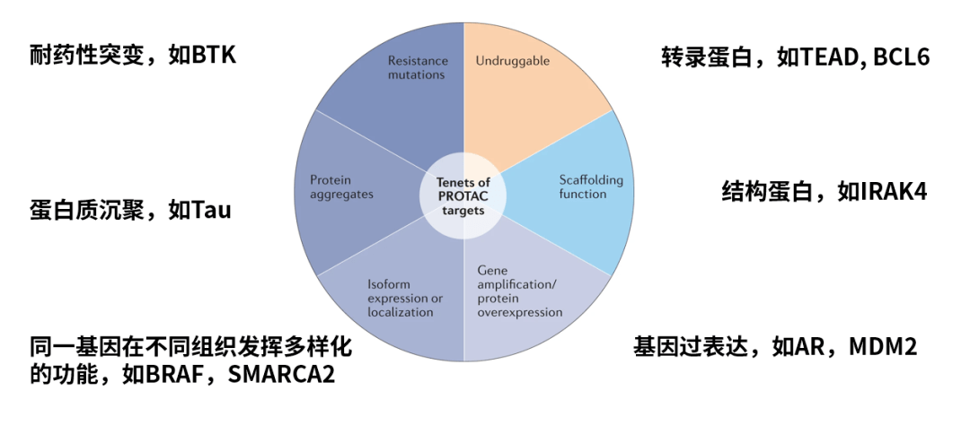 耐藥性突變,傳統無法成藥的轉錄蛋白,結構蛋白以及基因擴增/過表達等