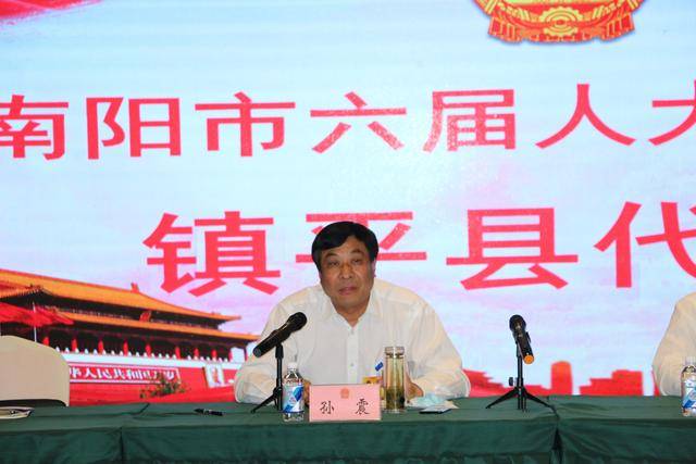 县委书记李显庆参加南阳市六届人大三次会议的镇平代表团会