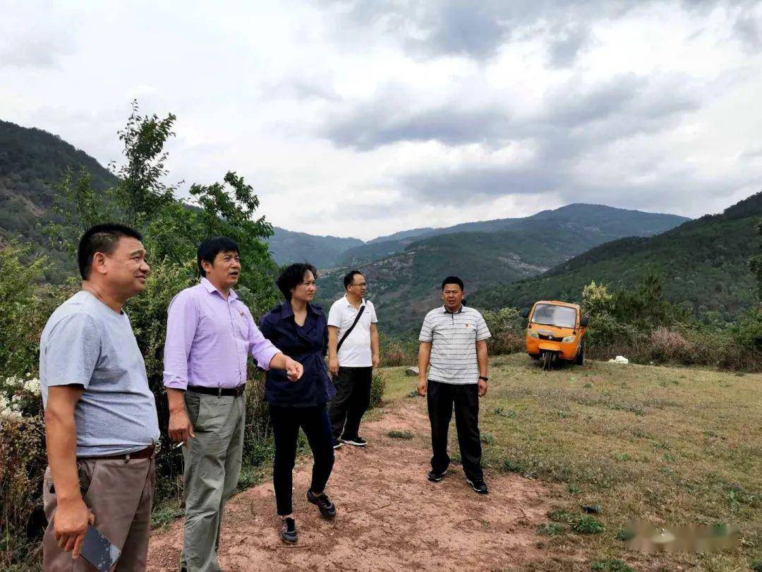 漾濞县教体局到太平乡各学校检查指导工作