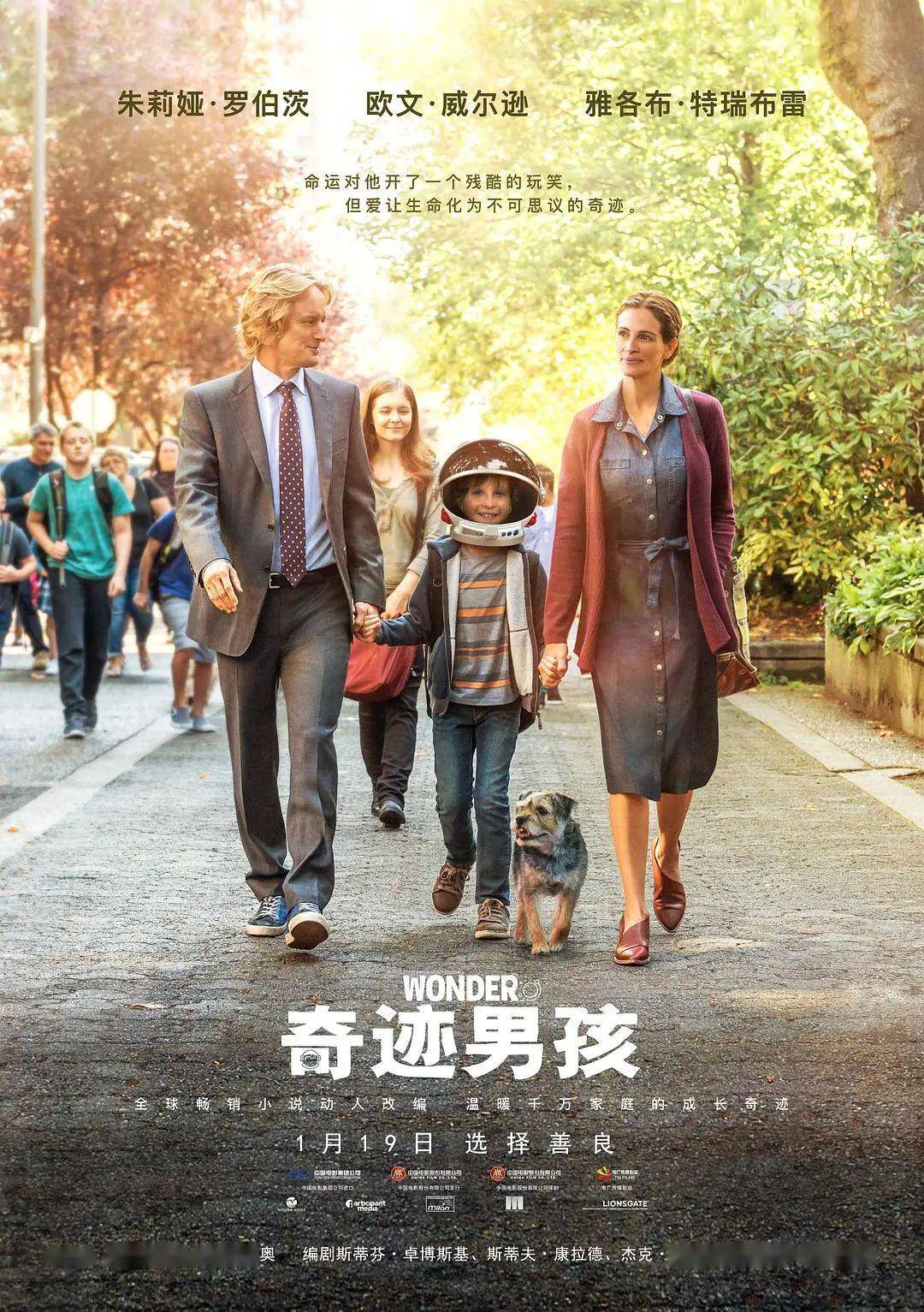 看完这5部高分电影,我的心被治愈了1000遍~_单猫