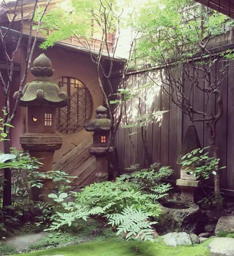 川滇茅舍 花影婆娑と踏むべくありぬ岨の月