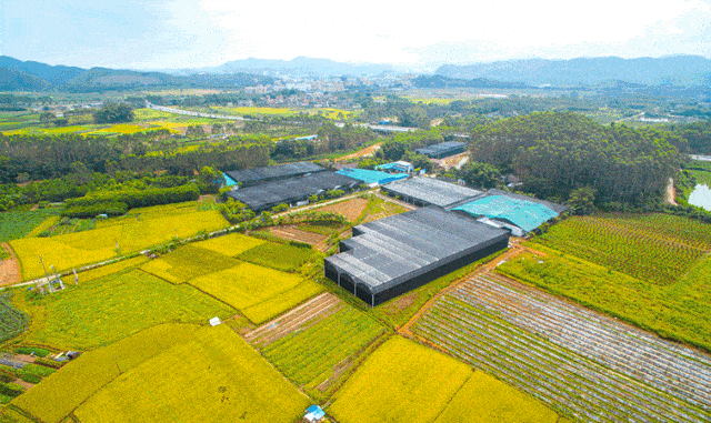 鹏鹄蘑菇产业园②单人(皮划艇或脚踏船,森林徒步,森林索桥)优惠价40元