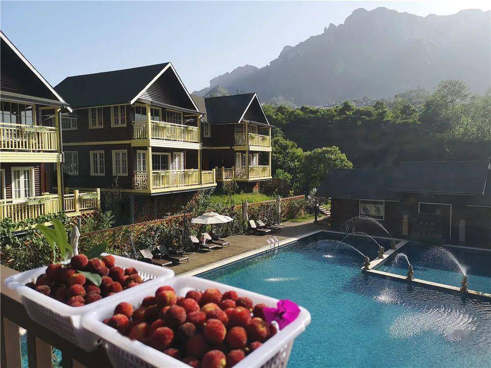 【文旅资讯】水云涧丨弥漫在山野的夏日清新