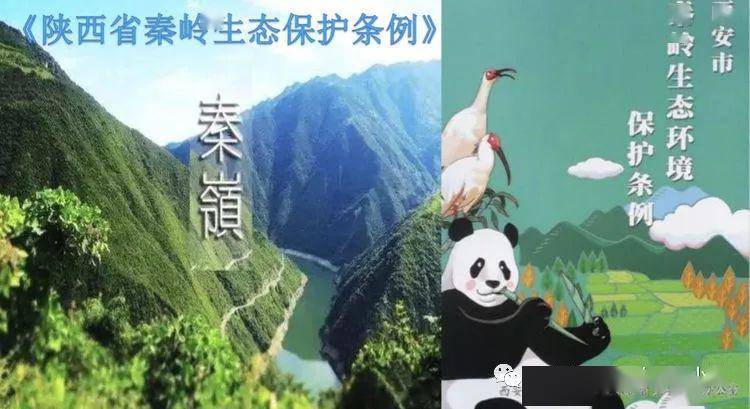 人民路小学组织全体学生观看如何保护大秦岭科普云课程纪实