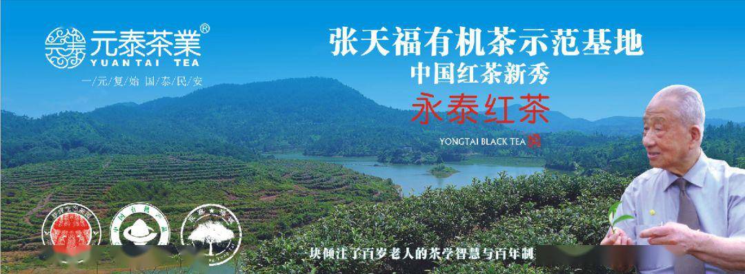 【茶展预告】元泰茶业将参加首届福州(永泰)蓝莓文化节!