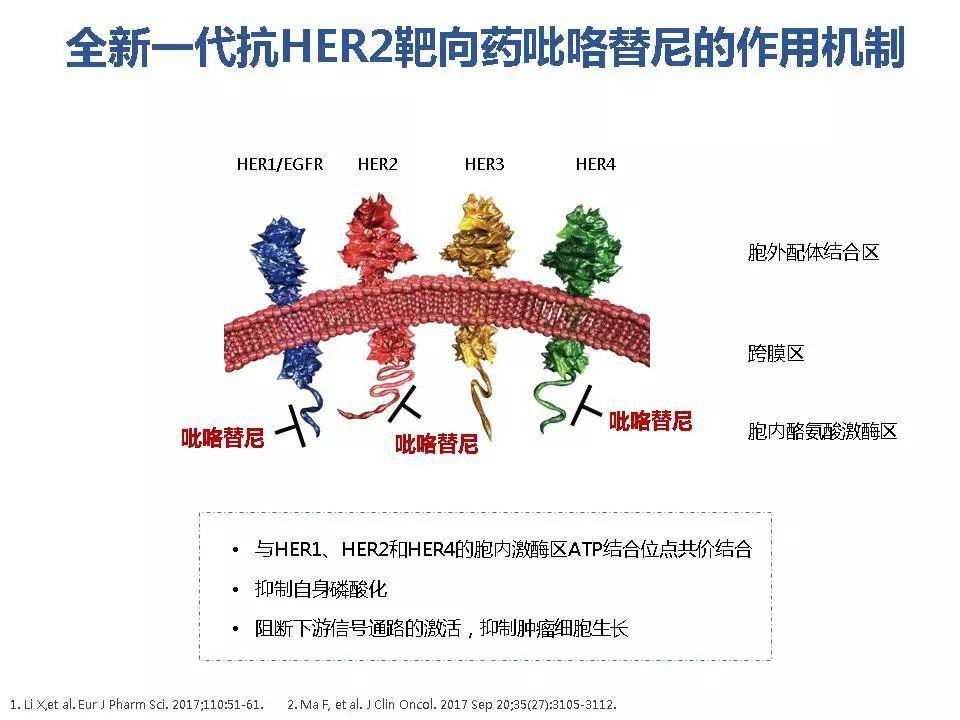 吡咯替尼治疗her2阳性乳腺癌