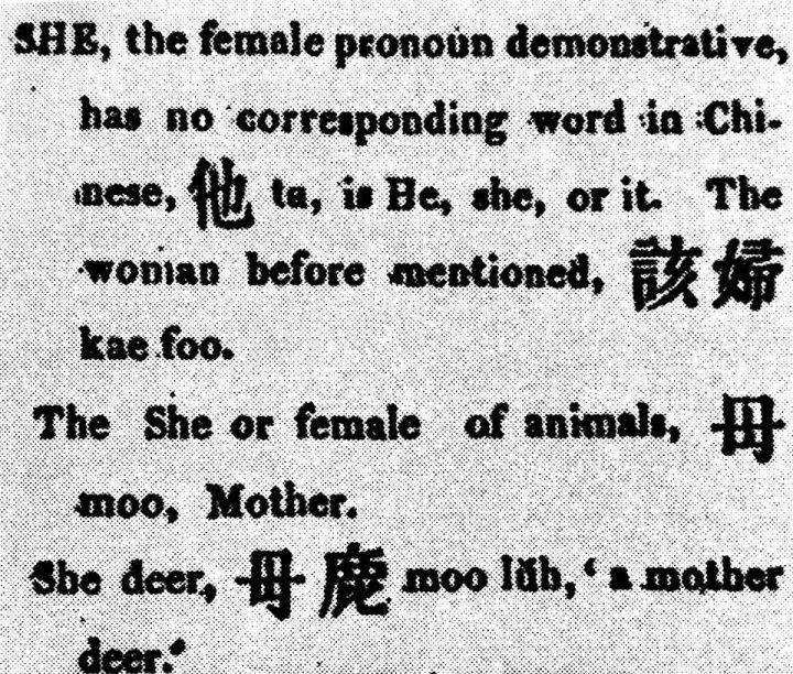 女字旁的她是怎么来的使用时间竟然还不到百年