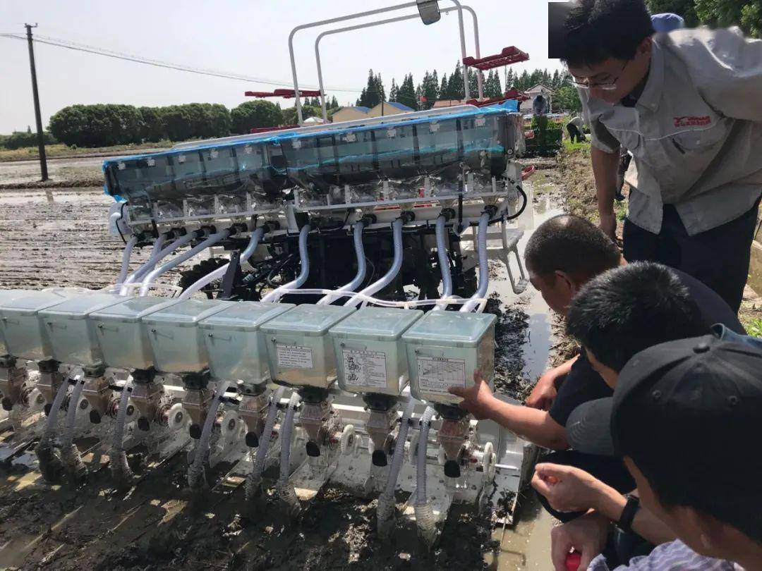 侧深施肥无人机植保青浦试验水稻全程机械化生产