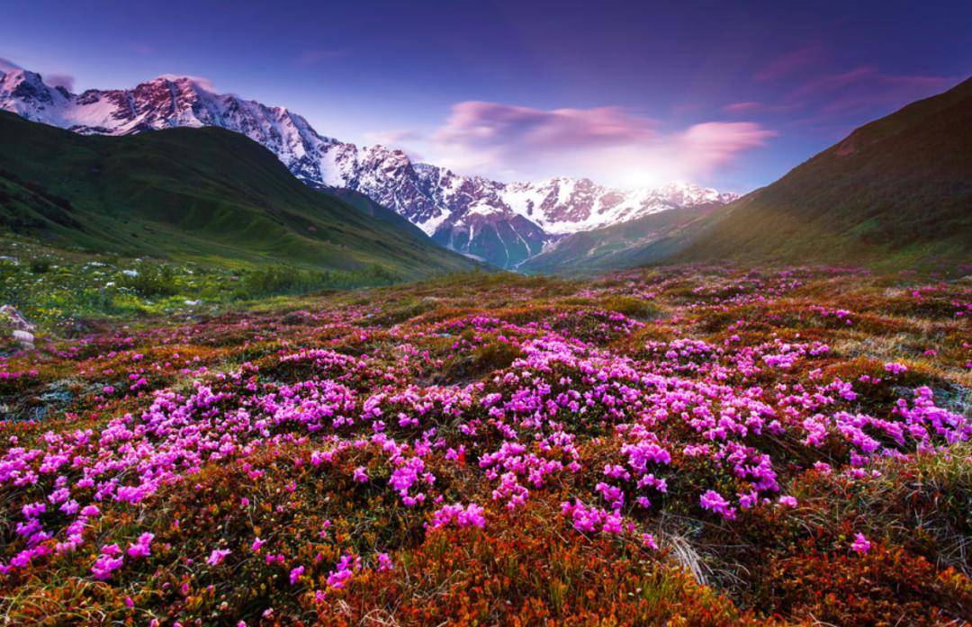 独立思考的精神