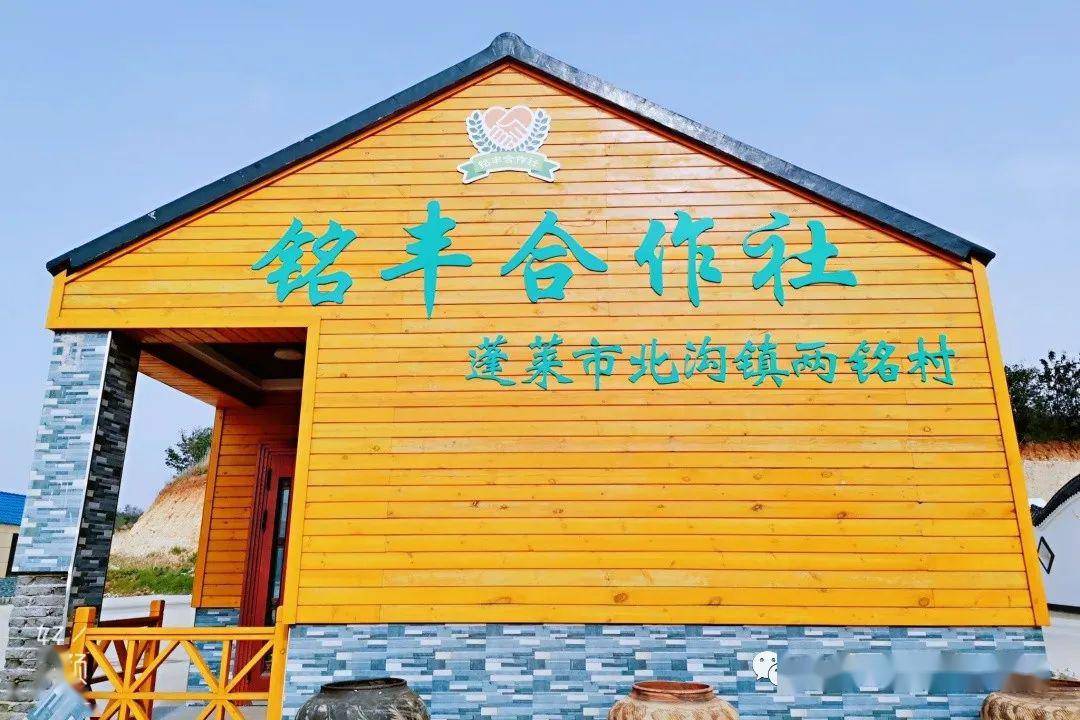 山东中亚旅行社今日播报赴烟台市考察学习美丽乡村建设