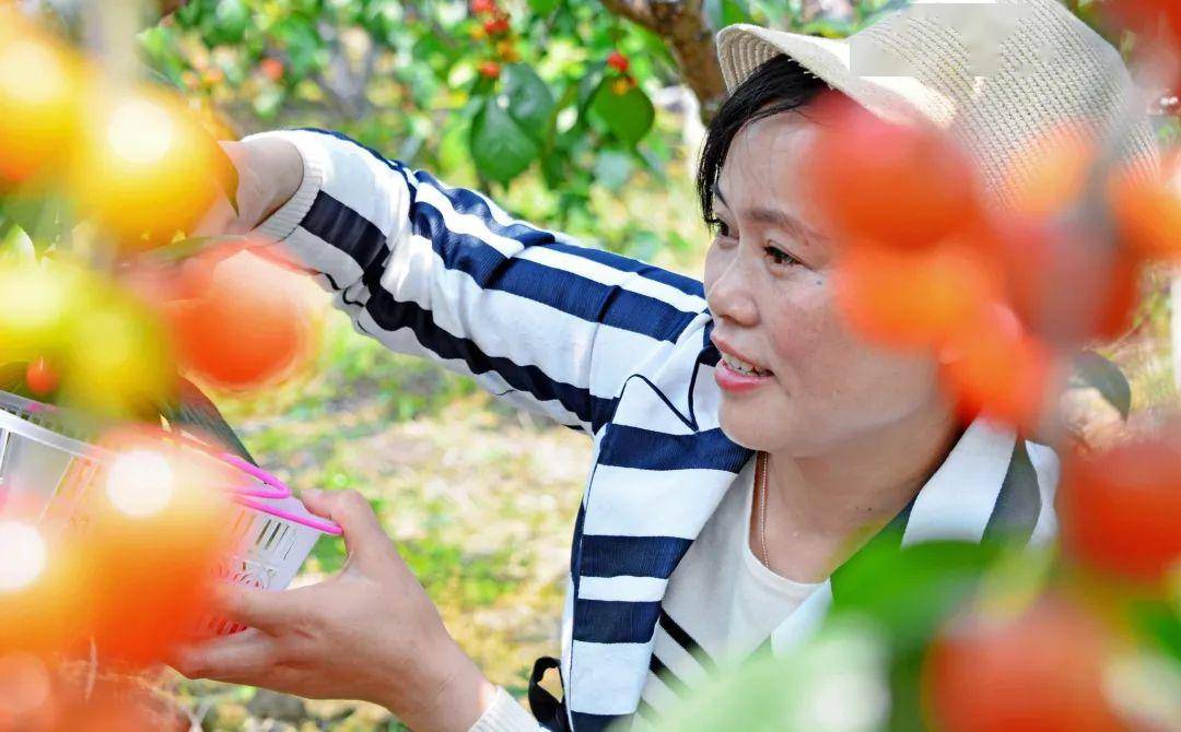 锡山初夏时令水果采摘地图来了!带你甜蜜整个季节