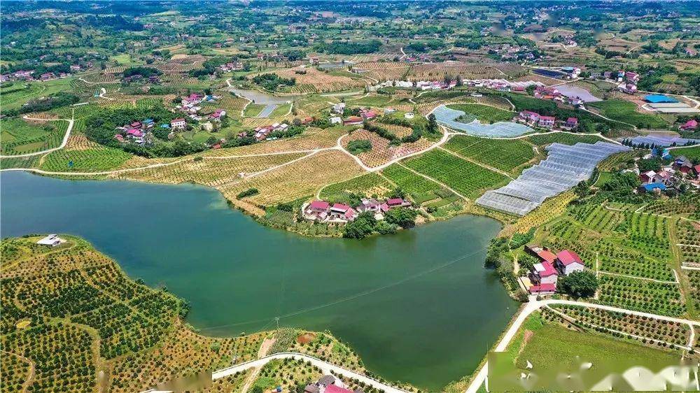 内江国家农业科技园区核心区 ——资中县银山镇万亩血橙示范基地