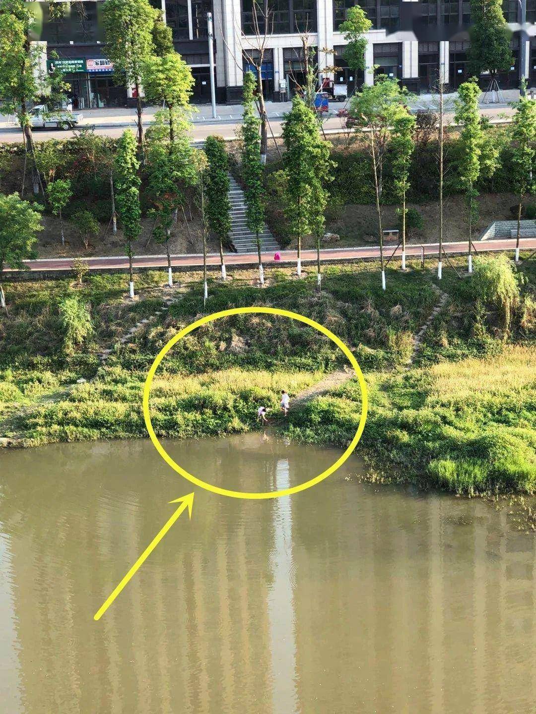 零友爆料危险今天在威远河边上拍到这样一幕