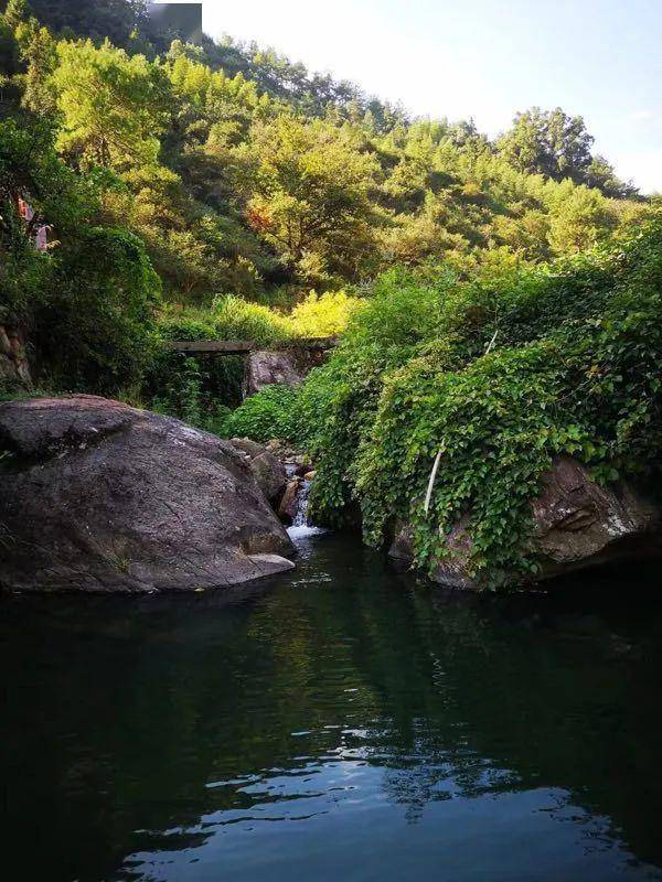 杜泽镇明果村多措并举推动村集体经济倍增