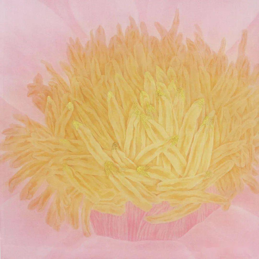 画家推荐李金朵