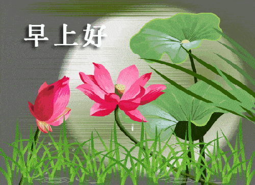 500_364gif 动态图 动图