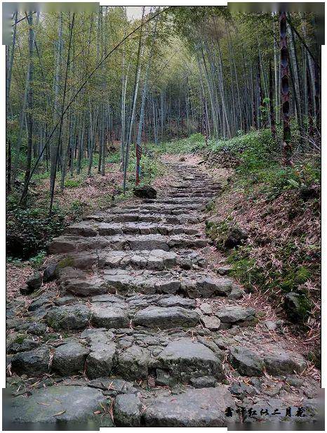 【绍兴·图说】初走夏履莲东萧绍古道