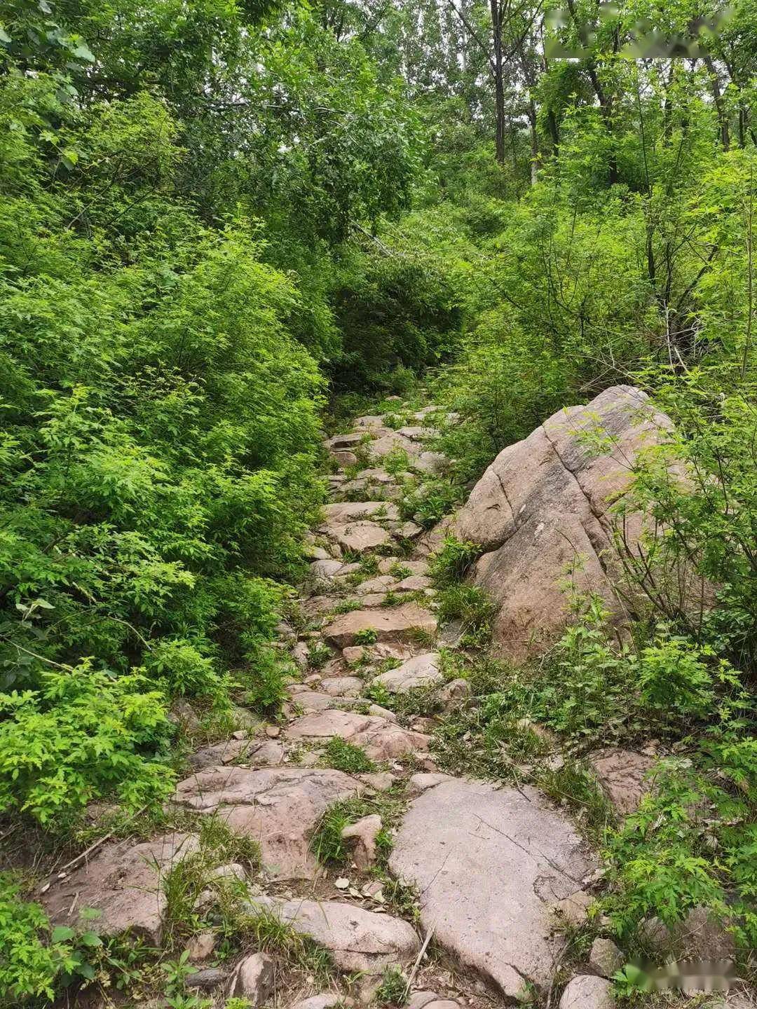 阳壶古道图片