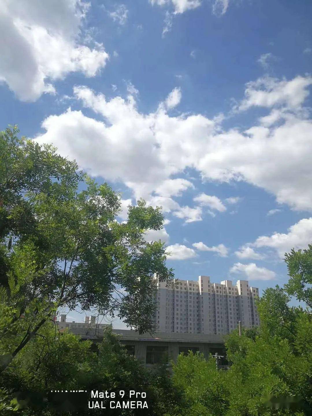 雨過天晴久違的天空藍讓趙縣美出了新高度