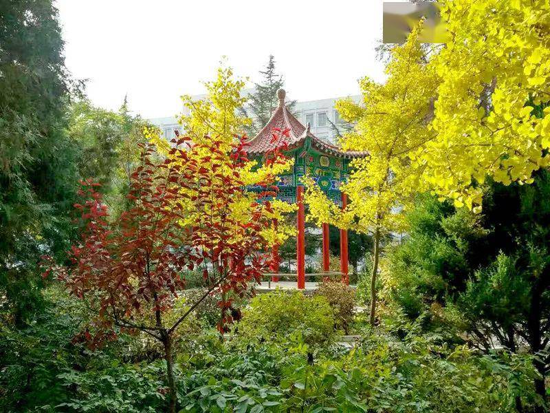 招生简章丨兰州市第五十二中学招生简章