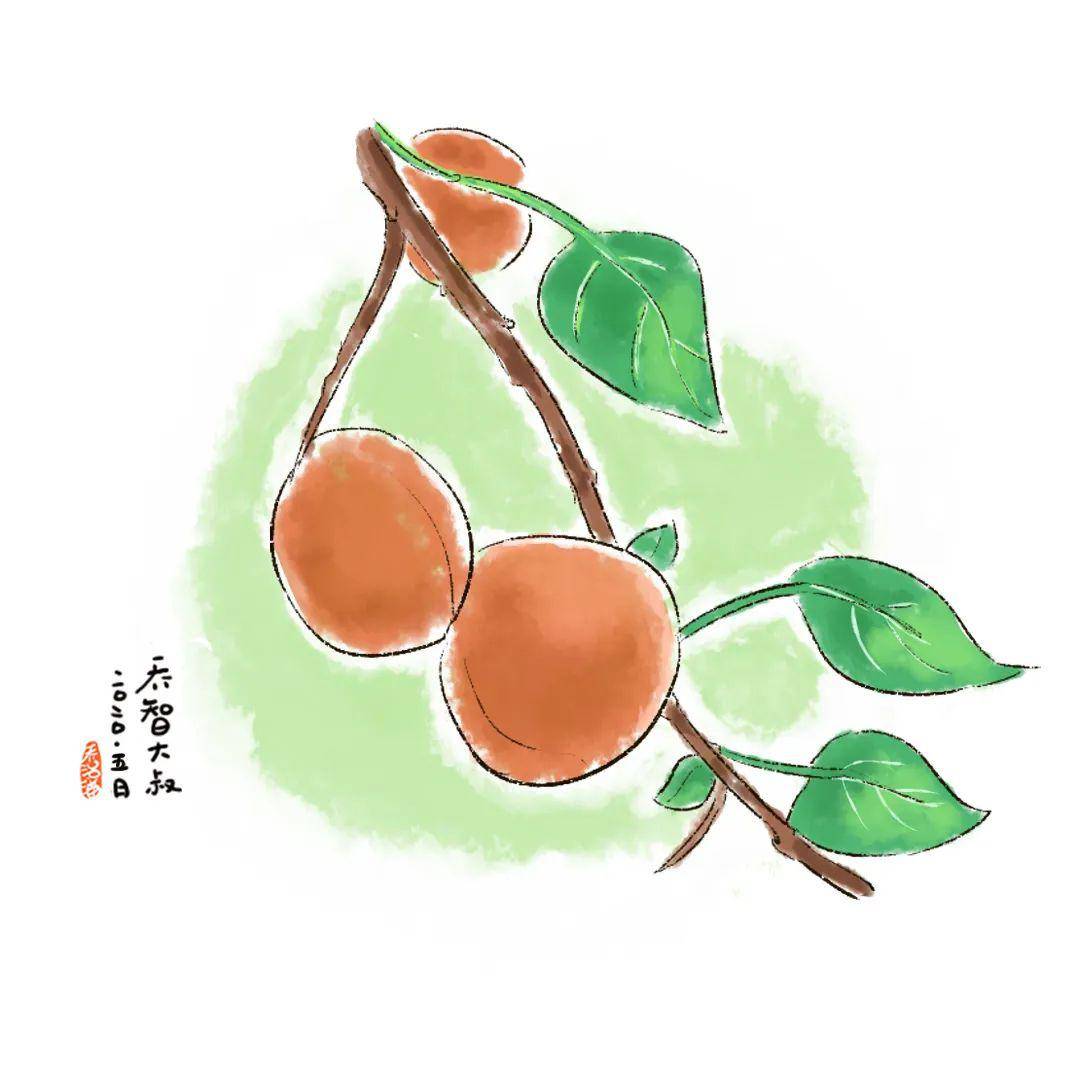 今日小满 丨让孩子懂得了"小满",他就懂得了人生