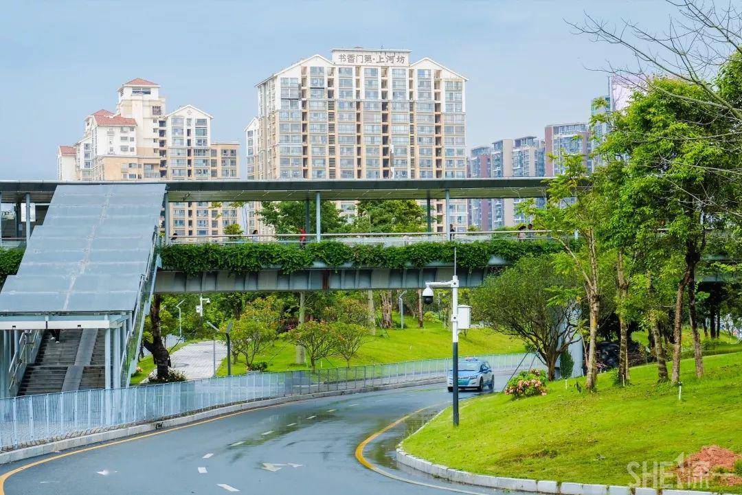 隶属龙华区管辖而被人熟知的村落民乐村是为数不多因为特殊的地理位置