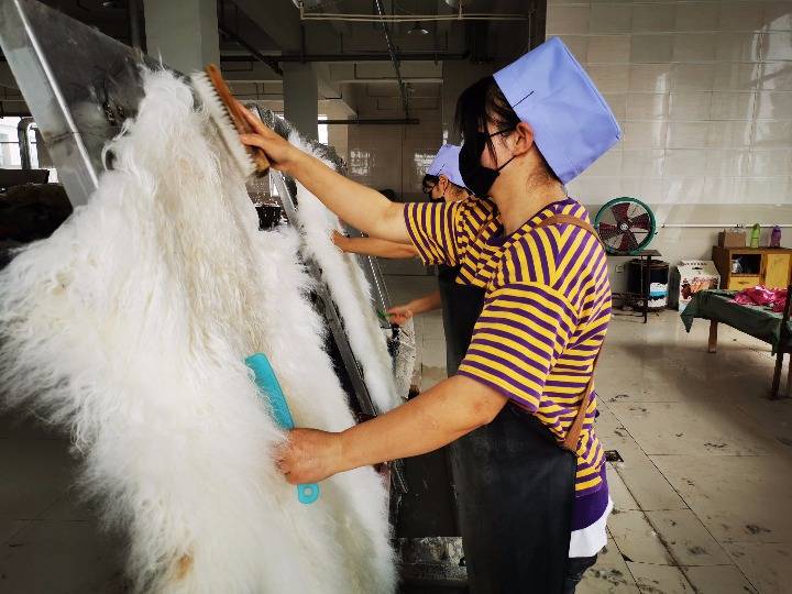 工人在车间缝制二毛皮成品.