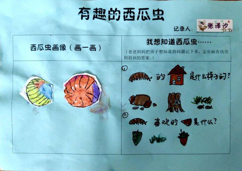 【南通教育·学校】通州实幼:专题课程引领儿童发展_西瓜