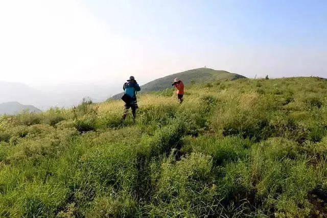 登山健身5月24日大轉山鳳凰頂一日登山活動