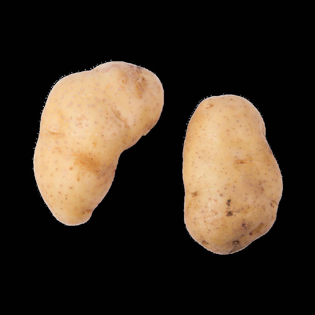 柔济之声土豆代替米饭做主食更健康结果意想不到