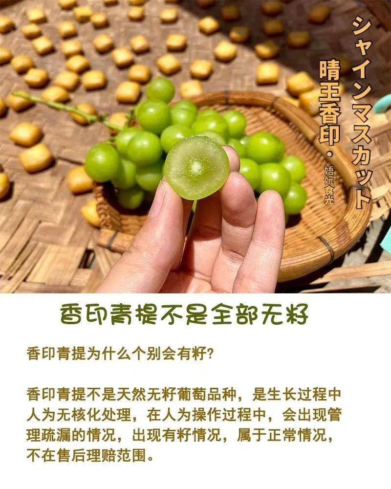 【水果团】日本晴王香印青提 葡萄中的爱马仕 每一颗都让你爱不释口