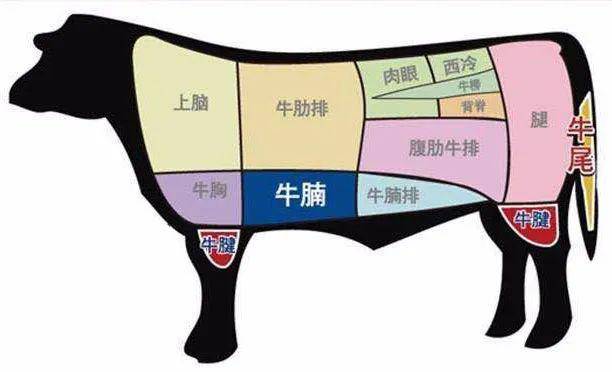 吃牛排时店家为什么总在盘子里放一个生鸡蛋别瞎吃会闹笑话的