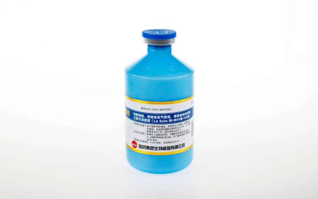 我们单位采用优质的白油产品进行乳化,使得此疫苗产品更易注射,应激