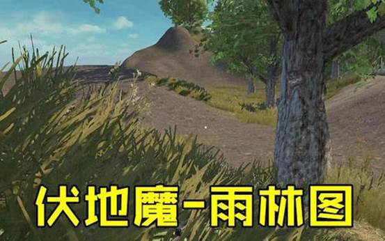 和平精英雨林地图资源丰富更具优势很多玩家不玩与这三点有关