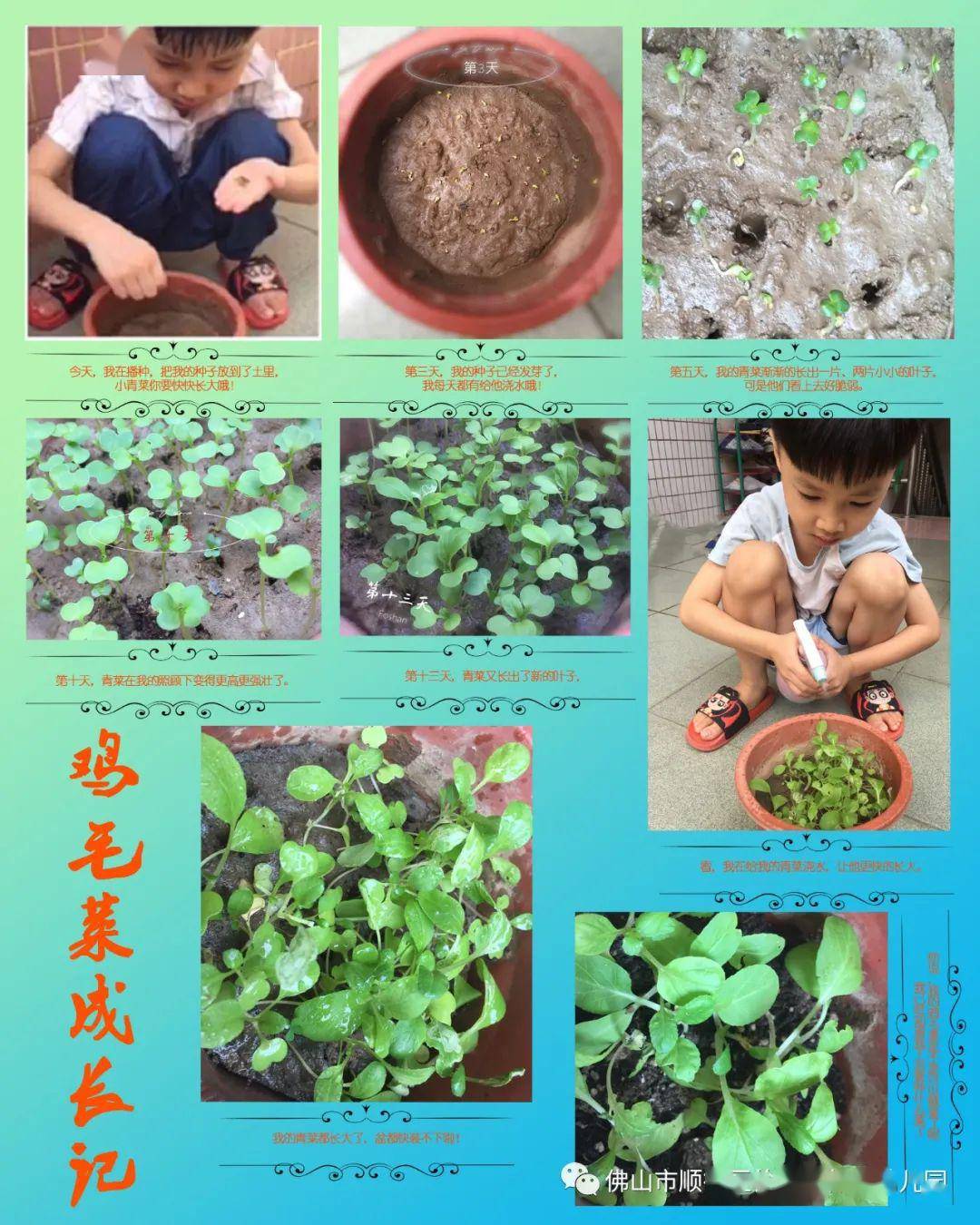 来到小菜园,小朋友们可以尝试播种灌溉,记录种子发芽生长的全过程