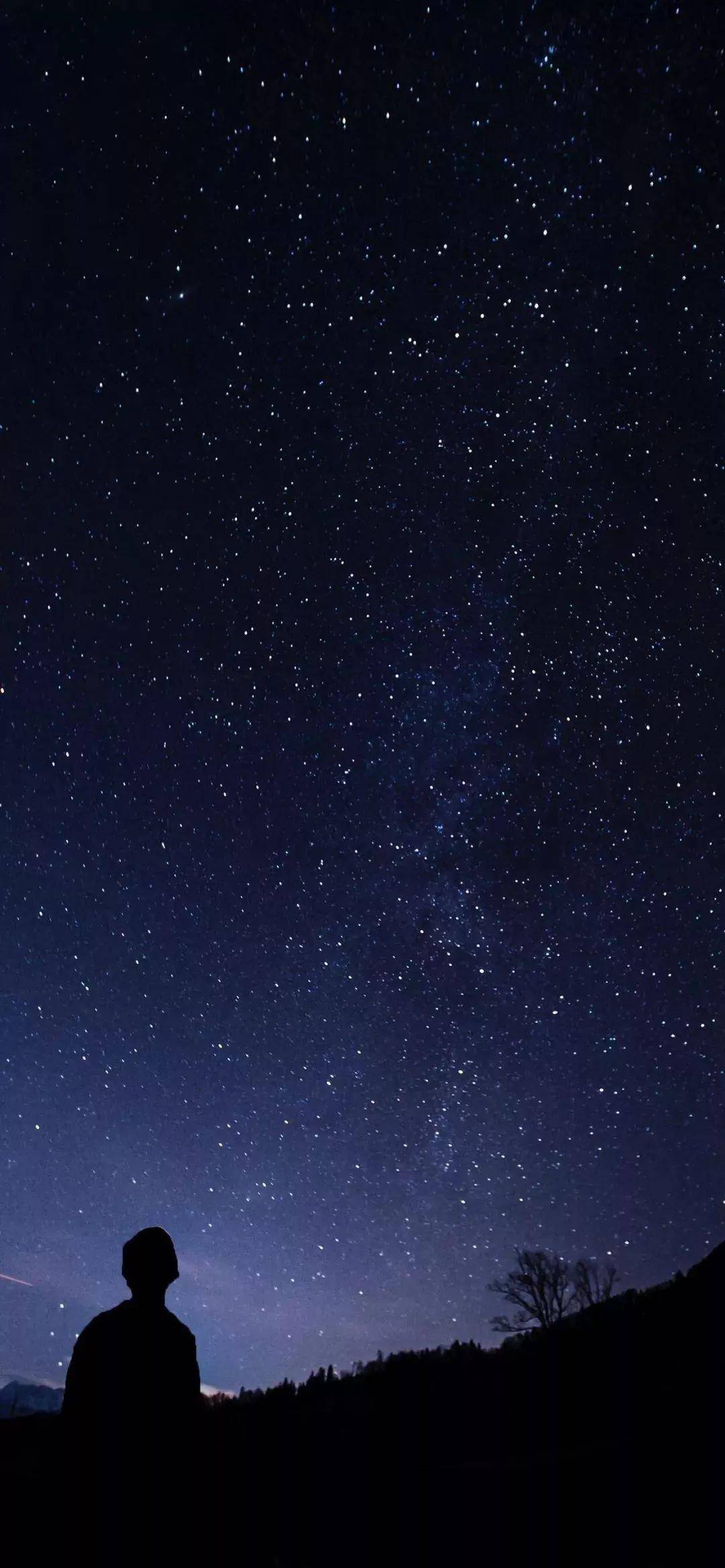 个性全面屏壁纸_手机搜狐网