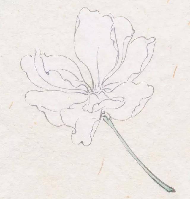 工笔海棠的画法