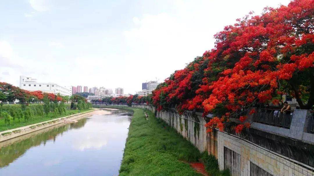 地址:深圳市罗湖区黄贝街道爱国路4006号 地铁:2号线至新秀站,步行1.