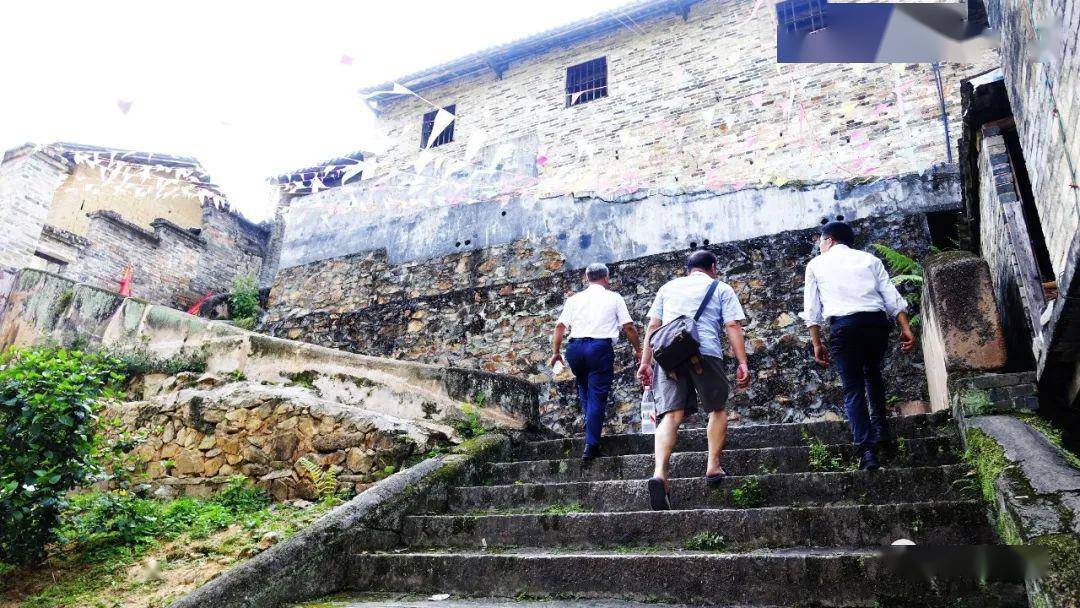 航拍:桂平市级文物保护单位罗秀植棠村,大泽山进士坟