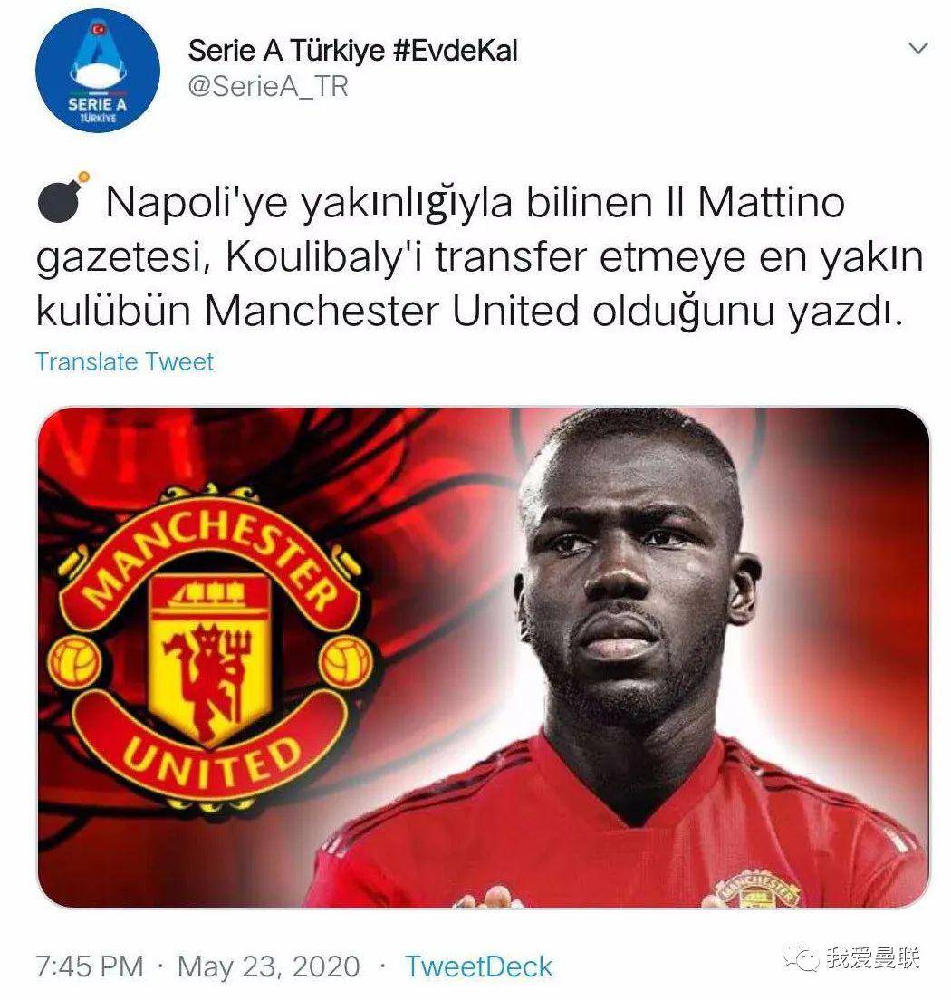 直接砍树!_库利