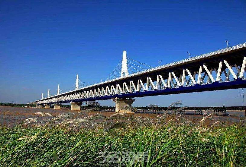 东岗黄河大桥图片