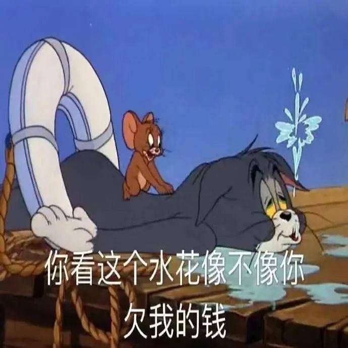 猫和老鼠表情包