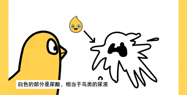 为什么 | 福特和鸟屎过不去?