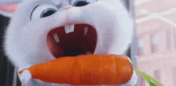 胡萝卜中的有效成分维生素a,胡萝卜素,核酸物质,双歧因子等,可有效